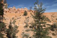 Bryce Canyon N.P.