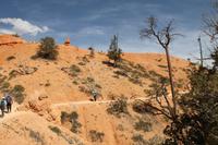 Bryce Canyon N.P.