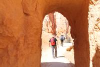 Bryce Canyon N.P.