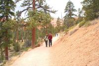 Bryce Canyon