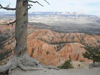 Bryce Canyon