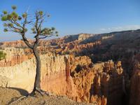 Bryce NP auf dem Fairyland Trail