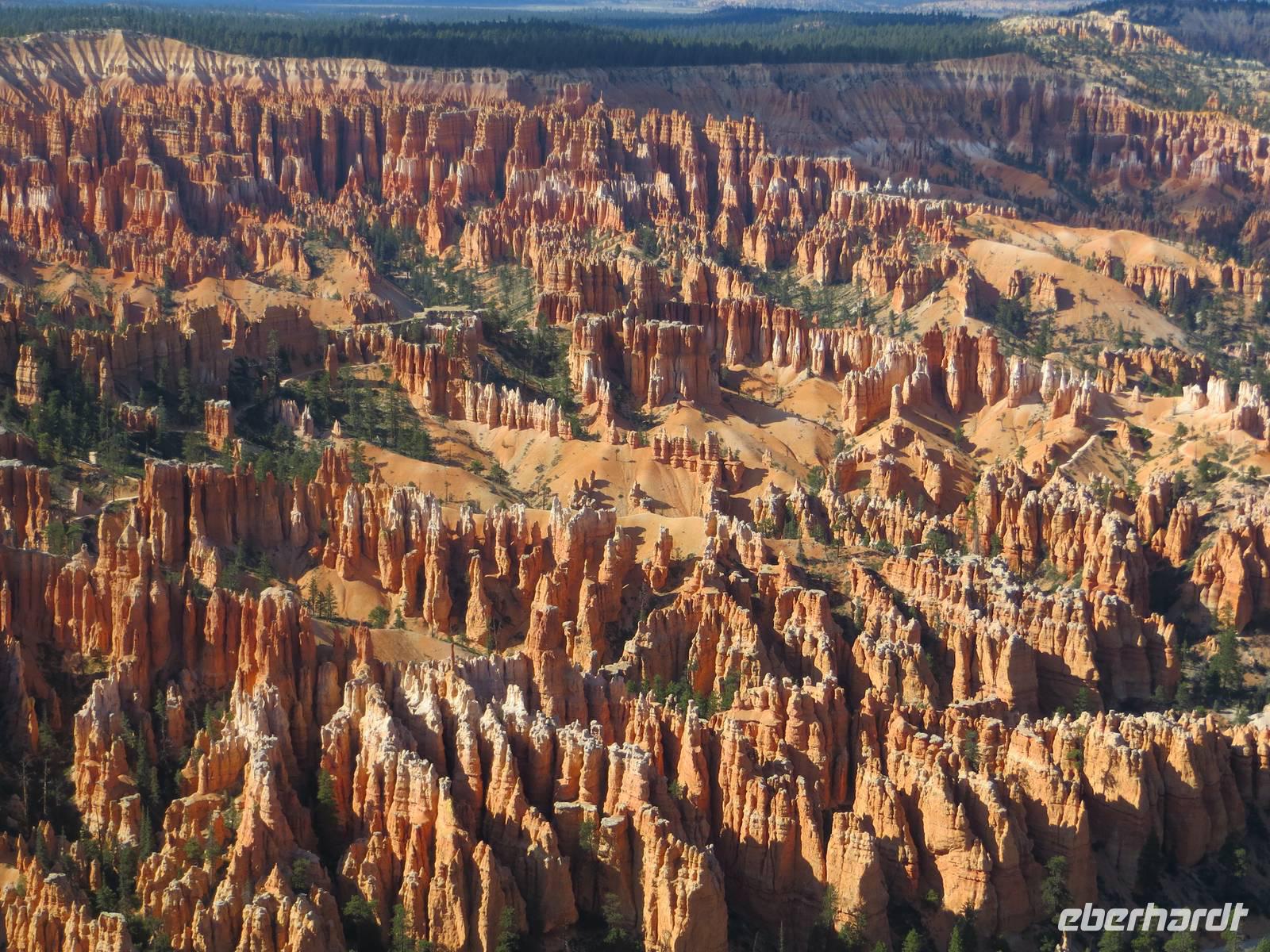 Bryce Viewpoint