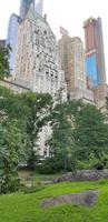 Central Park in NYC