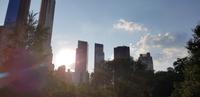 Central Park in NYC