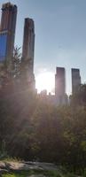 Central Park in NYC