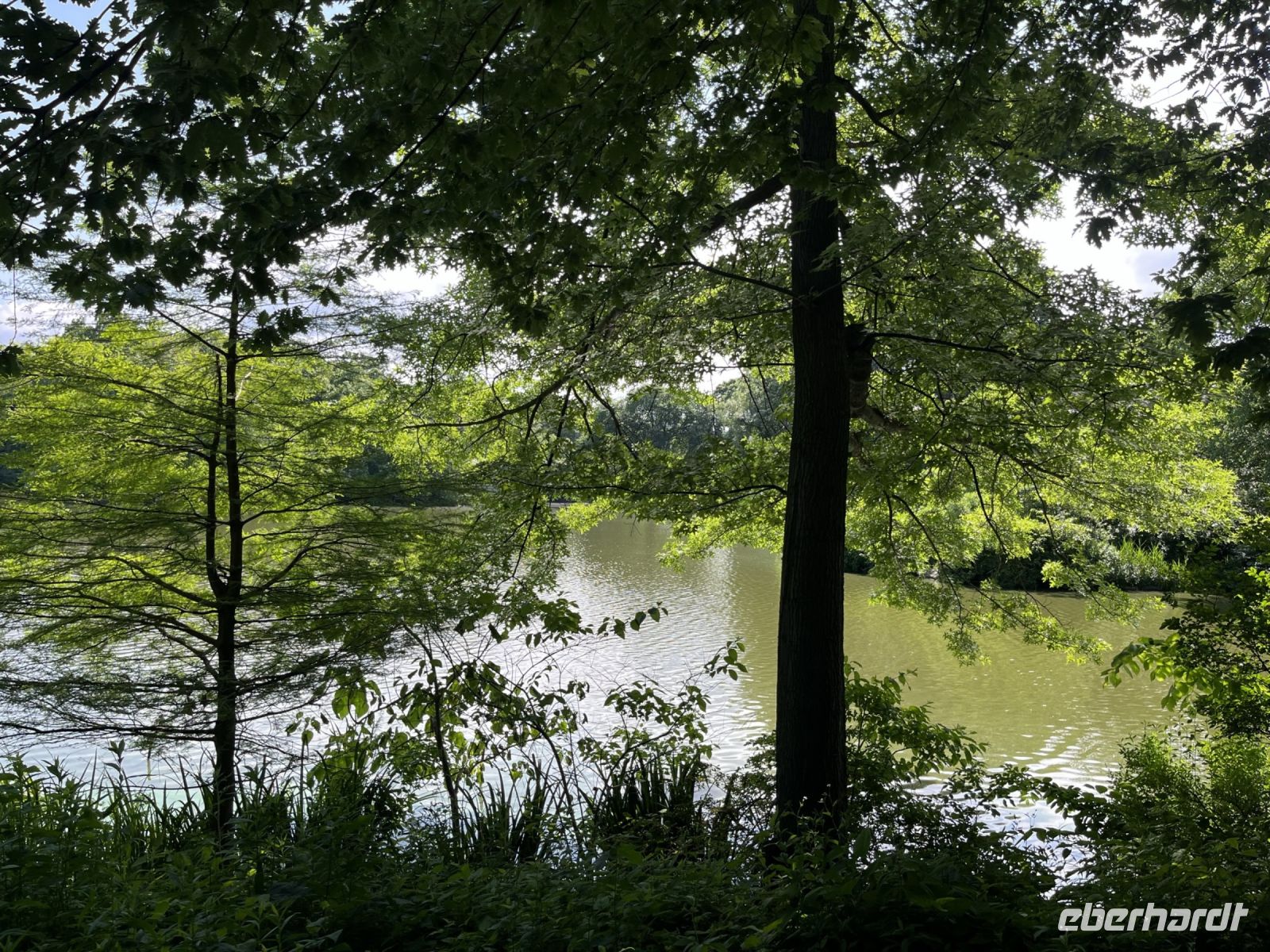 Central Park