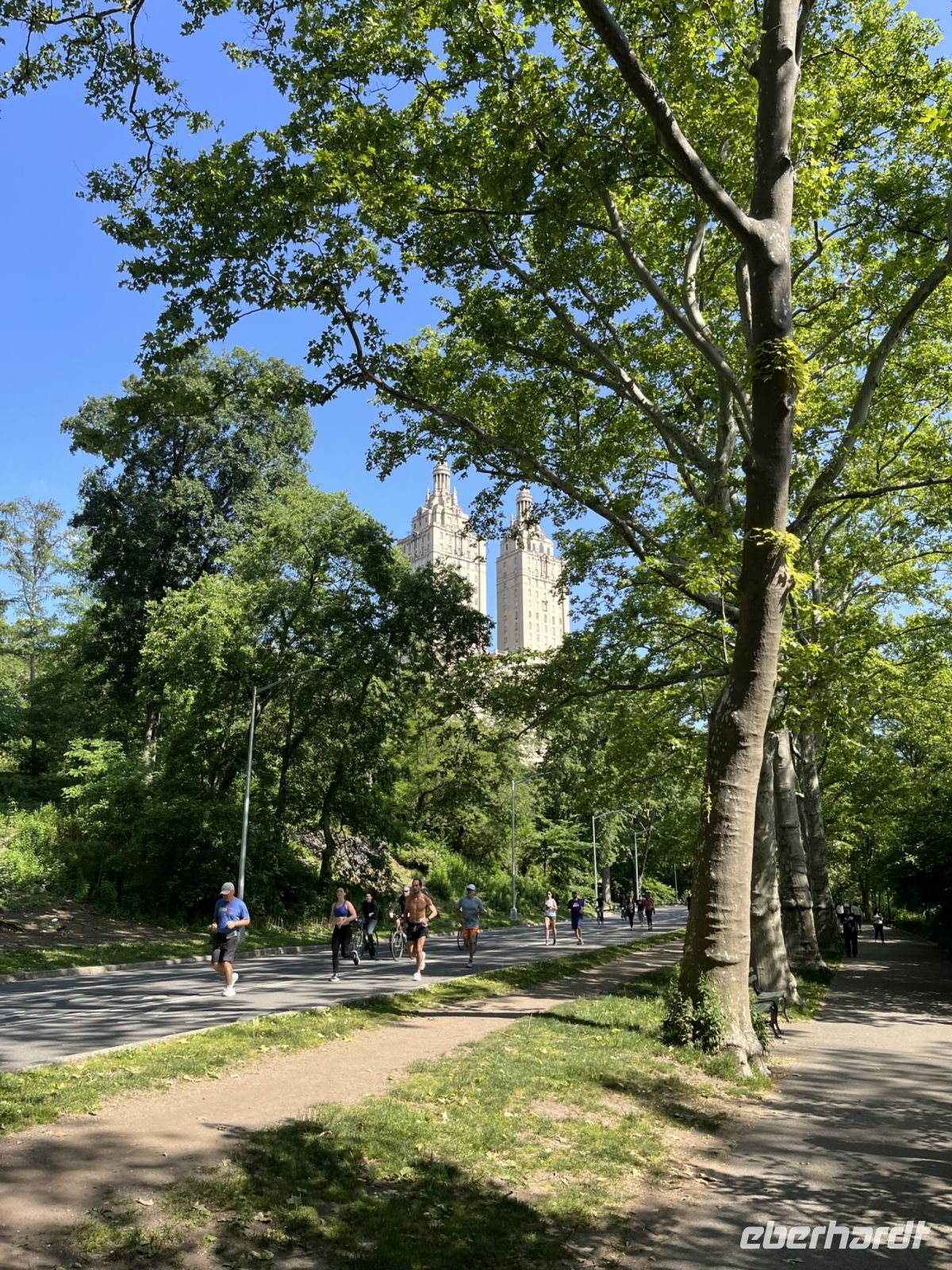 Central Park