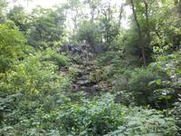 Central Park