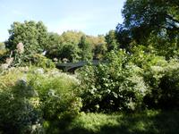Central Park