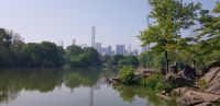 Central Park