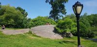 Central Park