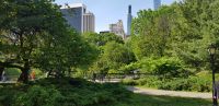 Central Park