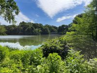 Central Park