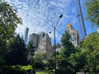 Central Park