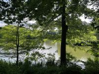 Central Park