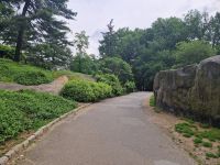 Central Park
