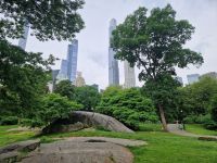 Central Park