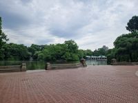 Central Park