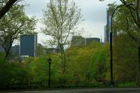 Central Park