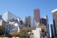 Citytour Los Angeles