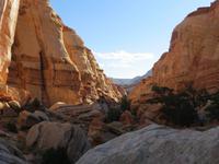 Cohab Canyon im Capitol Reef NP
