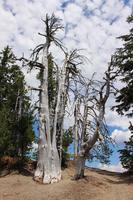 Crater Lake
