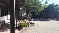 Das älteste haus von Los Angeles - Avila Adobe in der Olivera Street