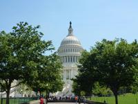 Das Capitol