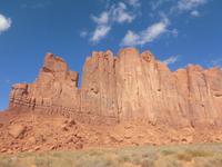 Das Kamel von der Seite