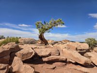 Dead Horse Point