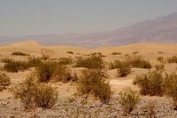 Death Valley