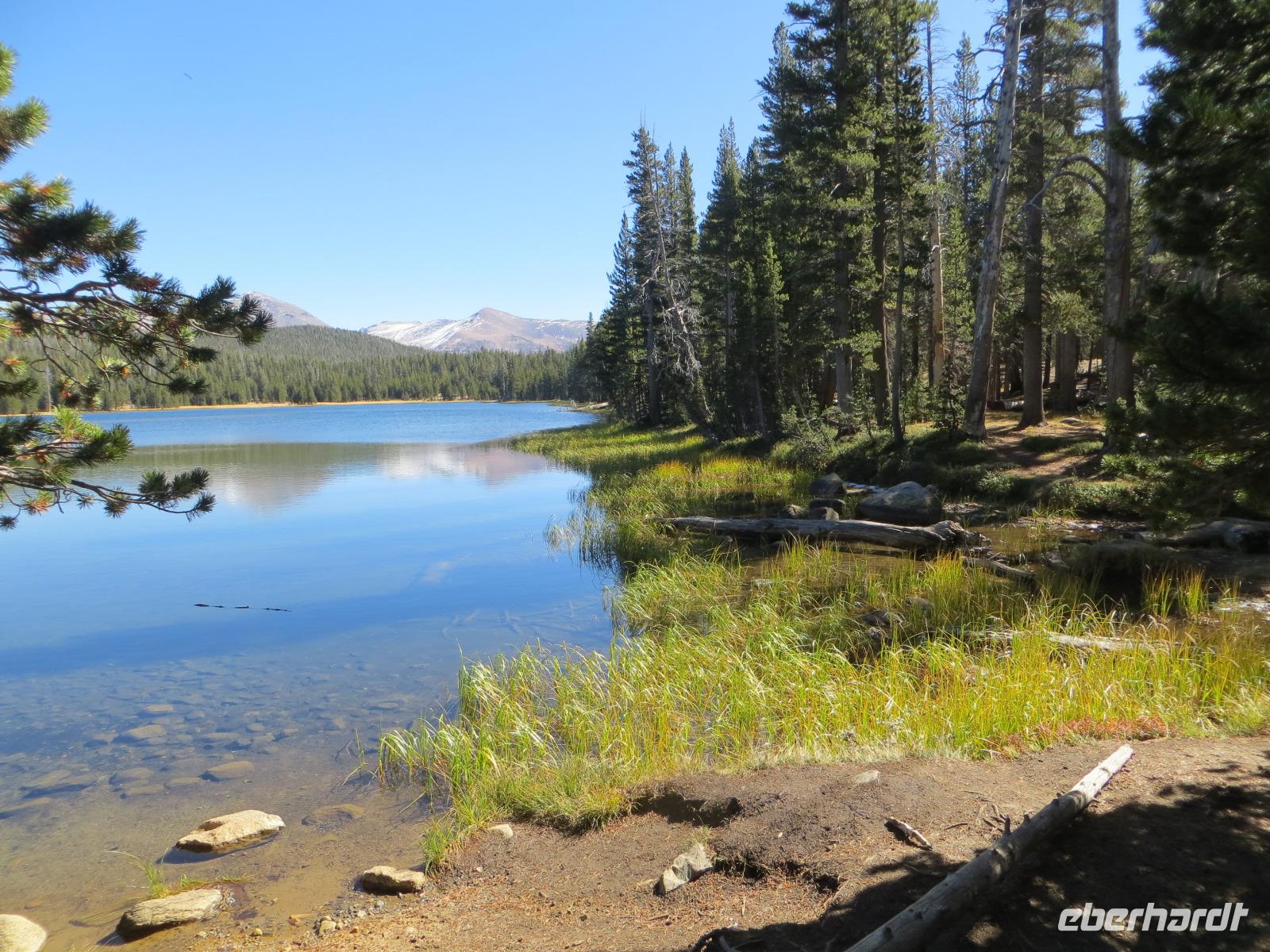 Dog Lake