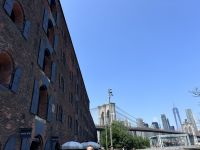 Dumbo New York (1)