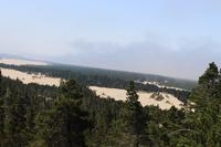 Dune Buggy Tour