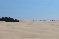 Dune Buggy Tour