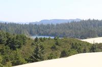 Dune Buggy Tour