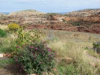 Escalante Staircase
