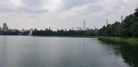 Fahrradtour durch den Central Park New York