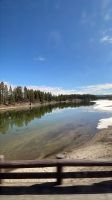 Fahrt durch den Yellowstone Nationalpark 