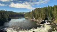 Fahrt durch den Yellowstone Nationalpark