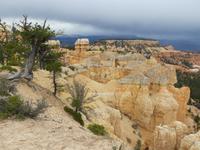 Fairyland trail