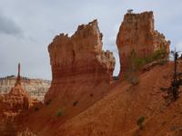 Felsformationen im Bryce Canyon