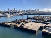 Fisherman’s Wharf