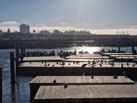 Fishermans Wharf