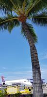 Flug von Big Island nach Maui