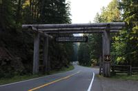 Gifford Pinchod National Forest