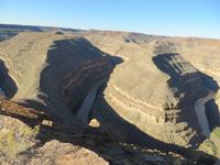Gooseneck