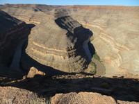 Gooseneck