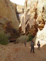 Grand Wash
